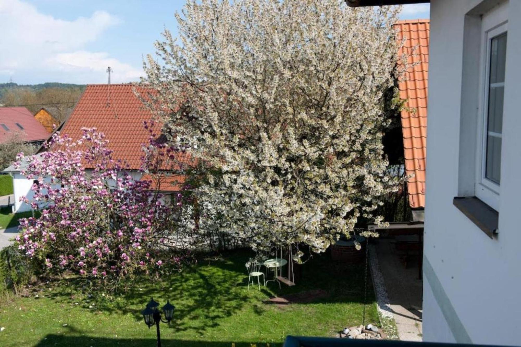 Urlaubsapartment Am Silbersee Apartment